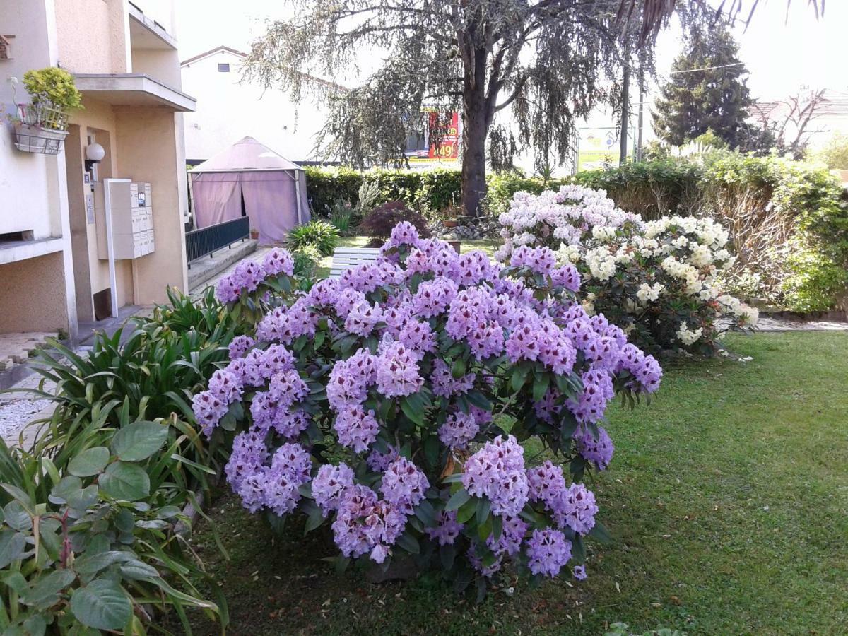 Les Floralies Pau Exterior photo